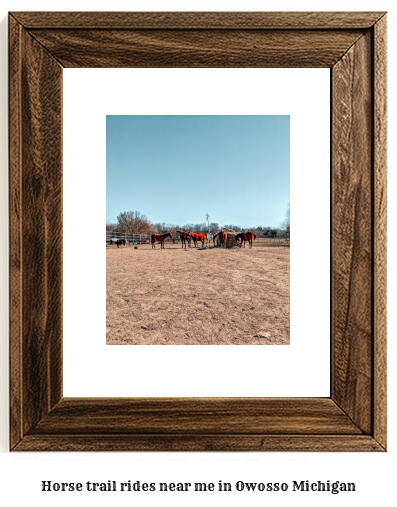 horse trail rides near me in Owosso, Michigan